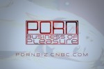 SEX WATCH: Chuck Schwab Not Hot For CNBC Porn Doc