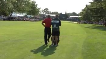 woods_8-5