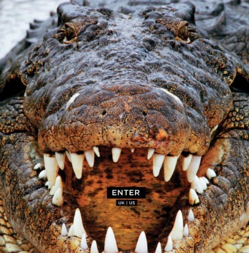Dentata Enter Dentata Enter