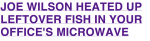 Joe Wilson Is The New LOLCat Of The Internet