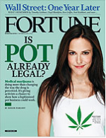 Smoke This Magazine: New York and Fortune Spark The Great Pot Moment