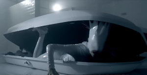 The Fame Monster