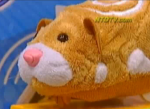"Zhu Zhu Pets" Give Children, Newscasters Their Black Friday Fix