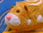 “Zhu Zhu Pets” Give Children, Newscasters Their Black Friday Fix
