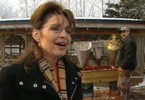 palin_turkey