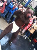 The Masturbating Bear