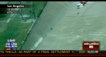 Shep Smith And The Amazing Friday Afternoon Dog Rescue
