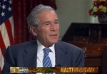bush_spotlight