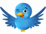 twitter-bird-2-300x300