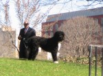 IMG_2874