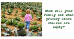 Ready Your Crisis Gardens For The Impending Government Collapse