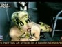 gaga123