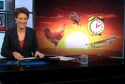 maddow12