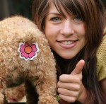 This Exists: Doggie Butt Covers