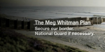 Meg Whitman Fence