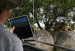 ipadlion