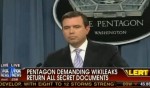 pentagon wikileaks