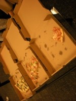pizza_8-9