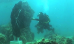 Fox Crime Divers