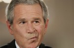 bush 2