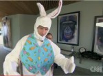 cooperbunny