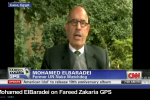 elbaradei_2.7.11