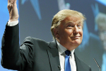 Picture-113-300x219