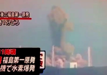 fukushima nuclear power plant meltdown. The Fukushima Nuclear Power