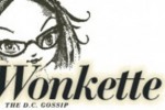 Wonkette_logo05272010-316x191