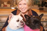 pups_4.11.11
