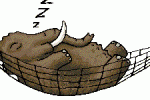 sleeping-elephant_6.2.11