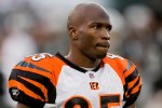 20091122_zaf_ct6_041-Chad-Ochocinco