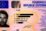 Driving licence of Niko Alm