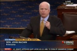 mccain_7.27.11