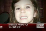 caylees_law_7.9.11