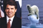 Perry Bear