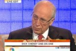 cheney_today_show_8.30.11