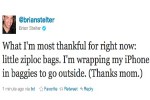 stelter