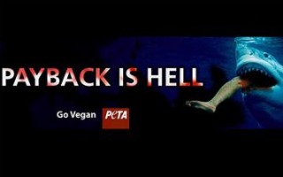 PETA Uses Young Man's Shark Att...