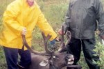 sarah-palin-moose-hunting