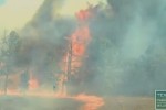 wildfire