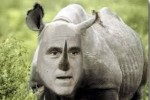 Mitt-Romney-RINO-316x256