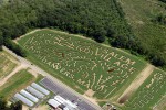 connorsfarm_corn_maze