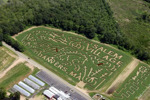 connorsfarm_corn_maze