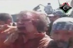 gaddafi-alive-video
