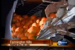 pumpkins