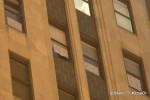 wearethe1percent