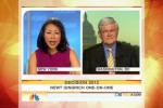 Newt Gingrich Today show