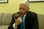 anderson cooper letterman