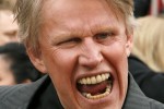 busey gingrich